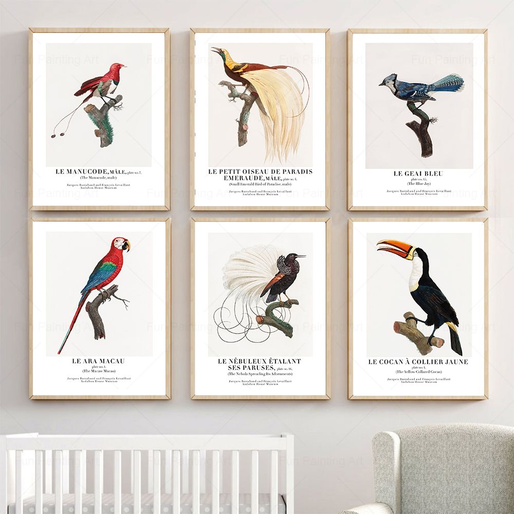 Furniture Paradise & Hardware Ghaziabad By Owner - Vintage Paradise Bird cuadro sobre lienzo