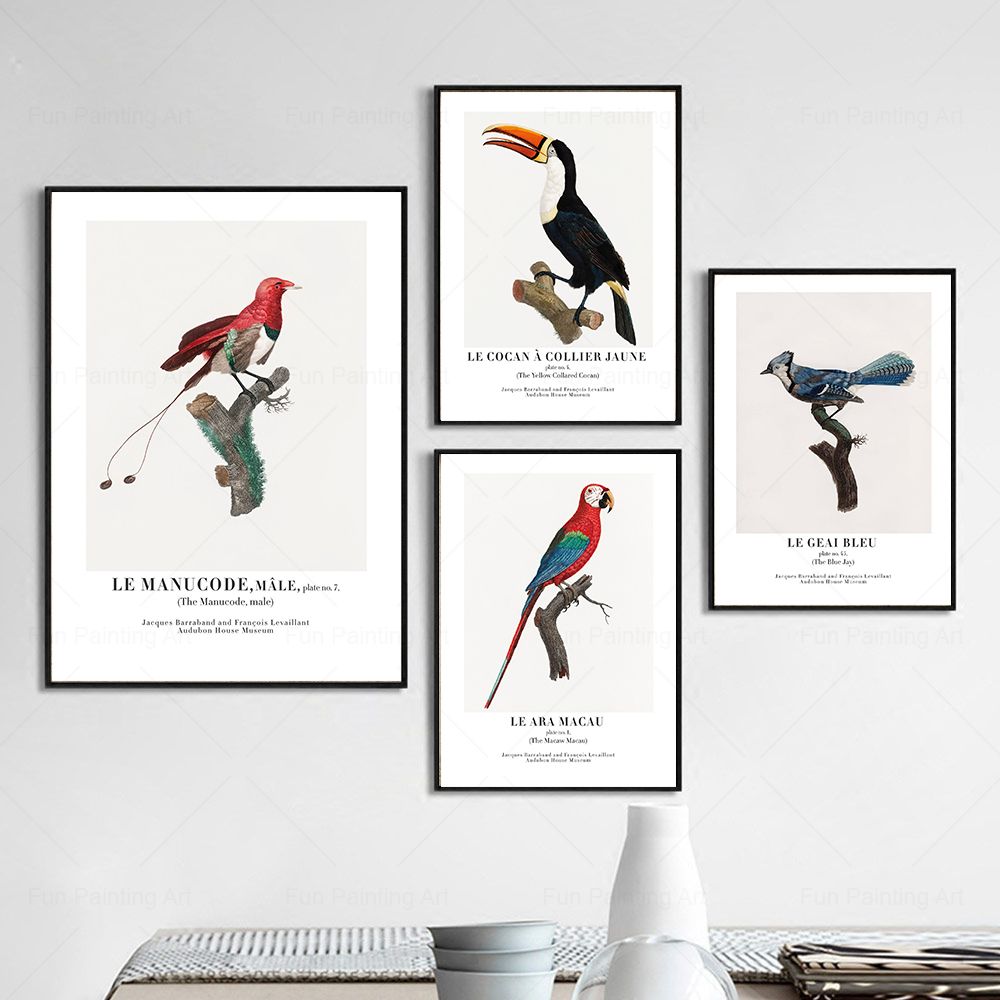 Vintage Paradise Bird cuadro s - Furniture Paradise & Hardware Ghaziabad By Owner reseña y precio