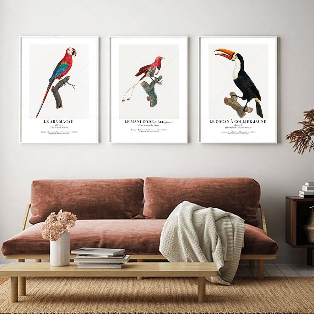 Vintage Paradise Bird cuadro s - Furniture Paradise & Hardware Ghaziabad By Owner reseña y precio