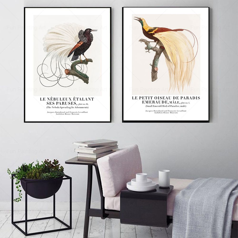 Vintage Paradise Bird cuadro s - Furniture Paradise & Hardware Ghaziabad By Owner reseña y precio